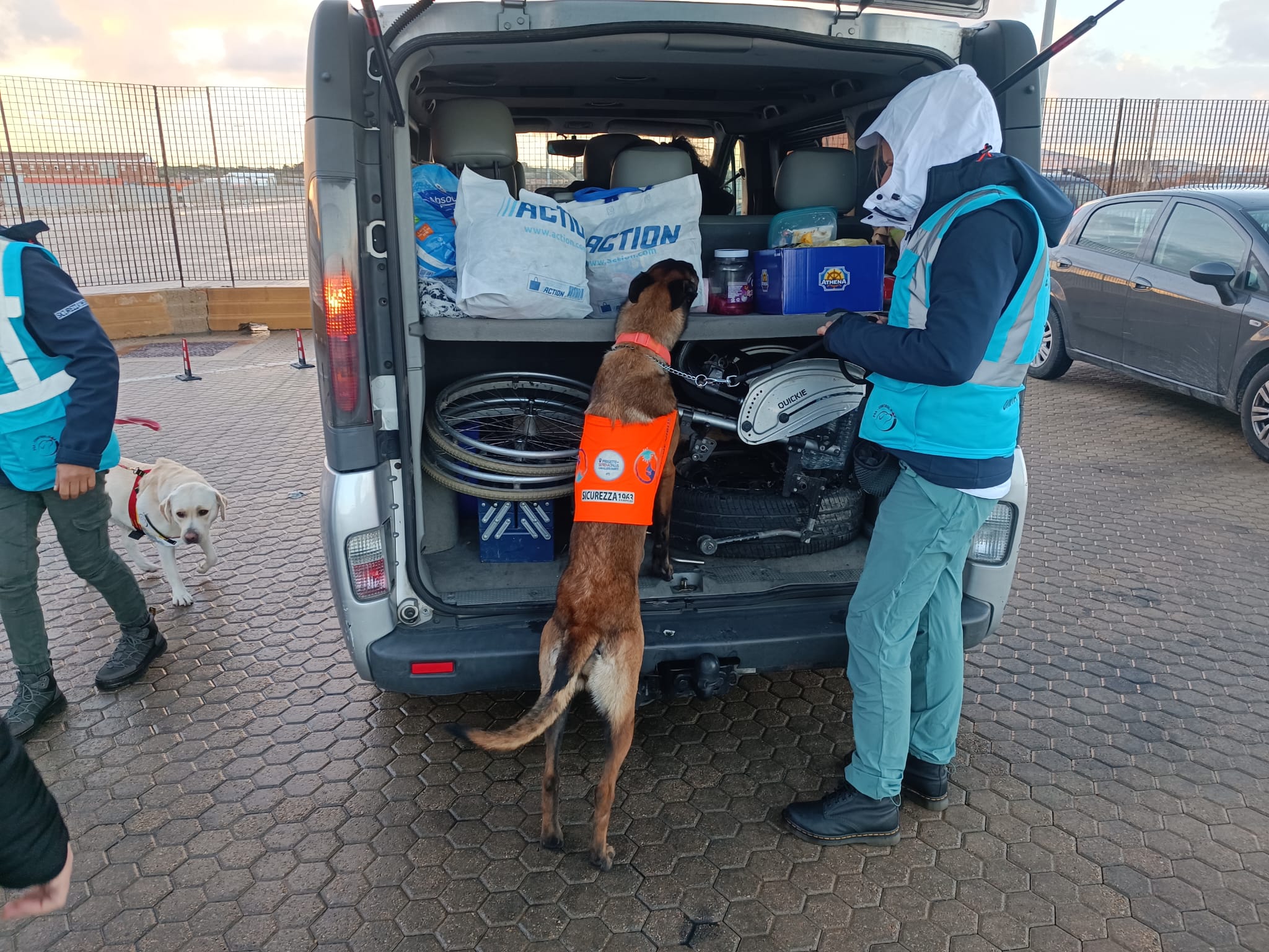 Asl Sassari: screening nei porti con i cani molecolari