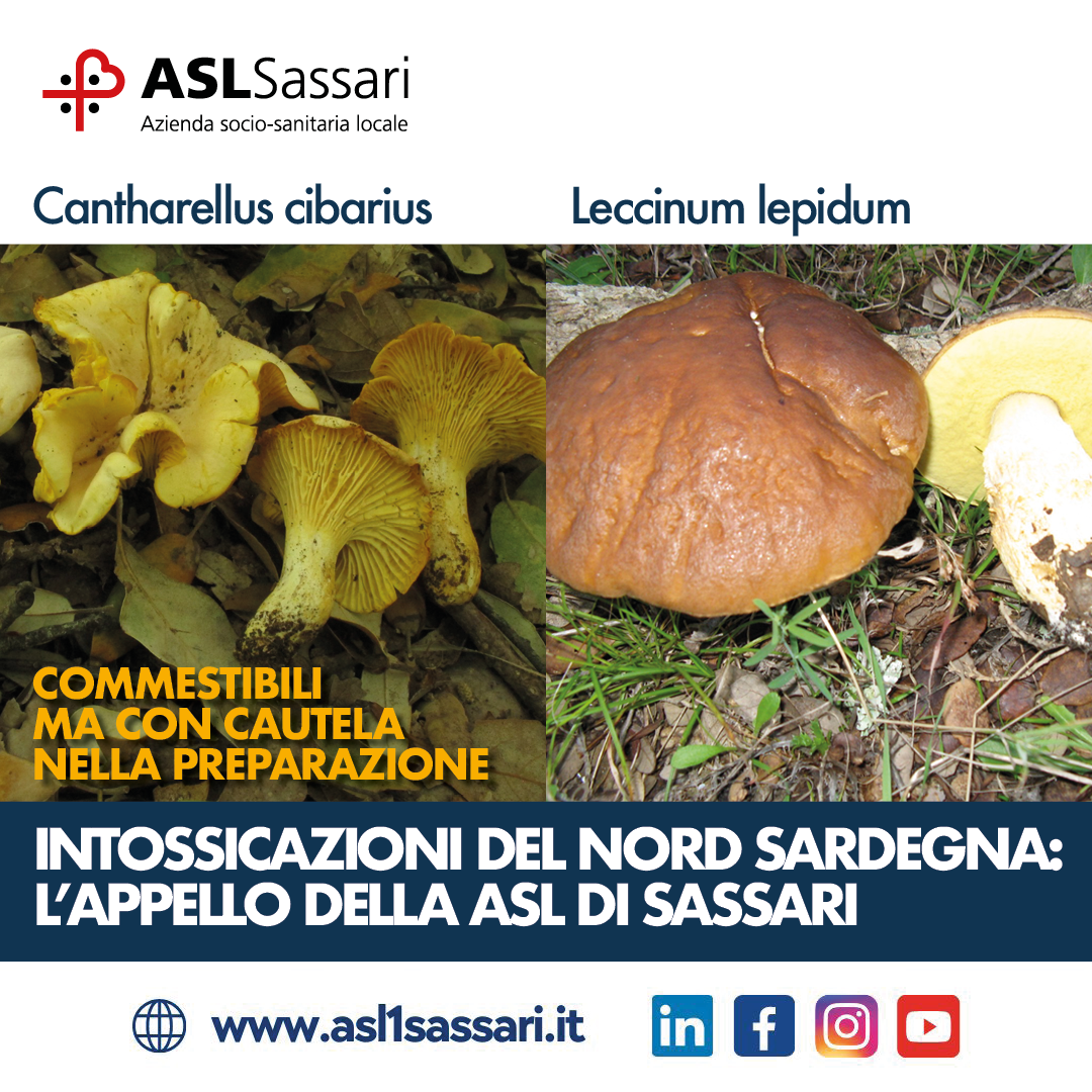 Intossicazione da funghi, l’appello della Asl di Sassari