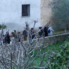 Un Miglio al giorno: il percorso