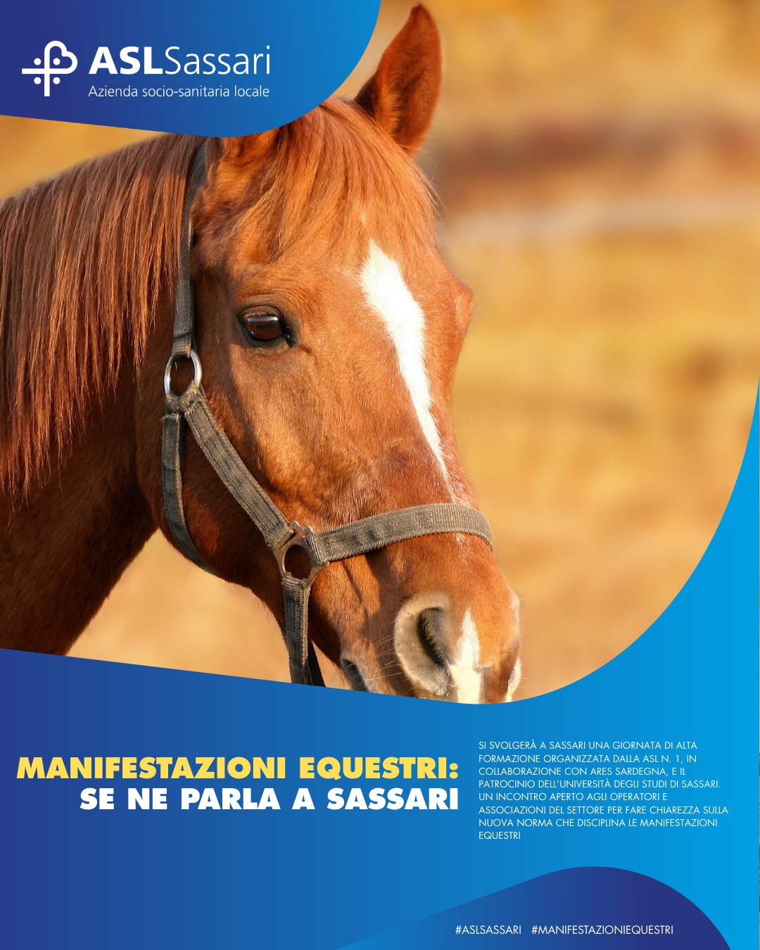 Convegno sugli equini del 18.03.2026