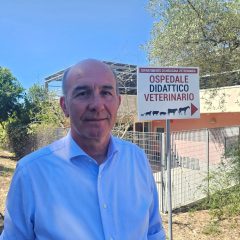 Andrea Sarria, Direttore del servizio Randagismo e Anagrafe Animali da compagnia Nord Sardegna