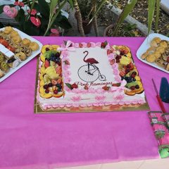 Le Pink flamingos ad Alghero