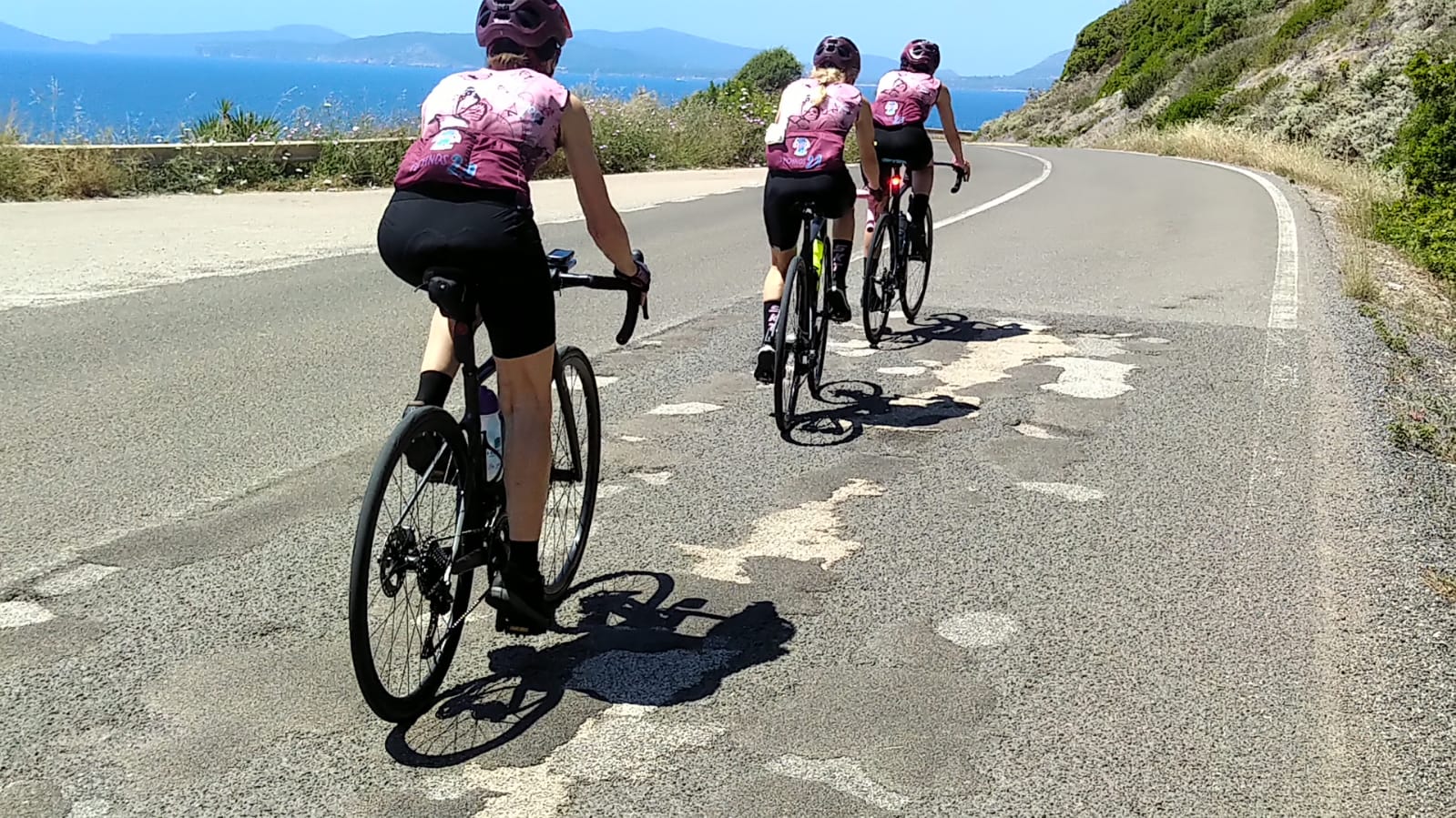 Pink Flamingos in tour: la carovana rosa arriva ad Alghero e Ozieri