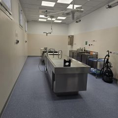 La sala settoria: interni