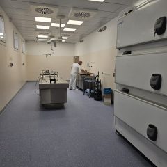 La sala settoria: interni