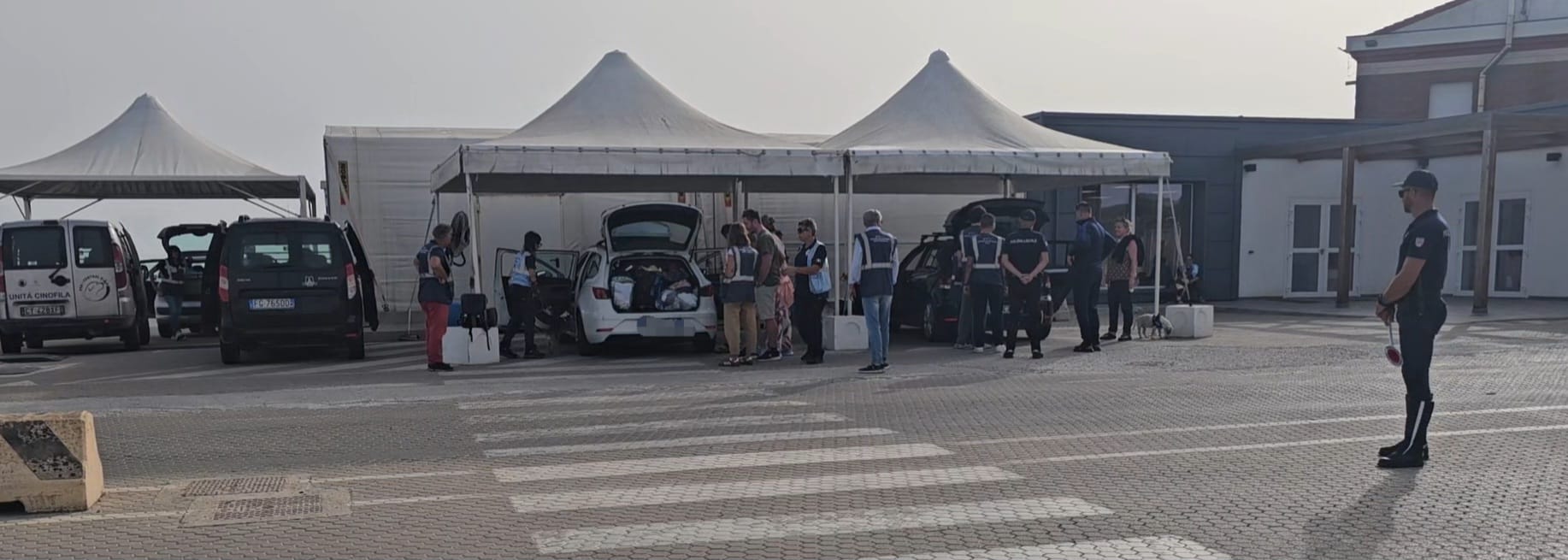 Porto Torres: screening a campione nel Porto contro la Peste suina africana
