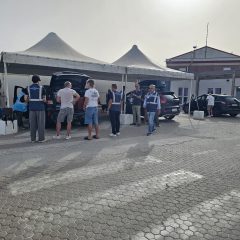 Peste suina africana: controlli al porto