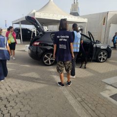 Peste suina africana: controlli al porto