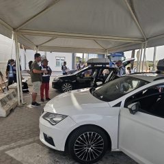 Peste suina africana: controlli al porto