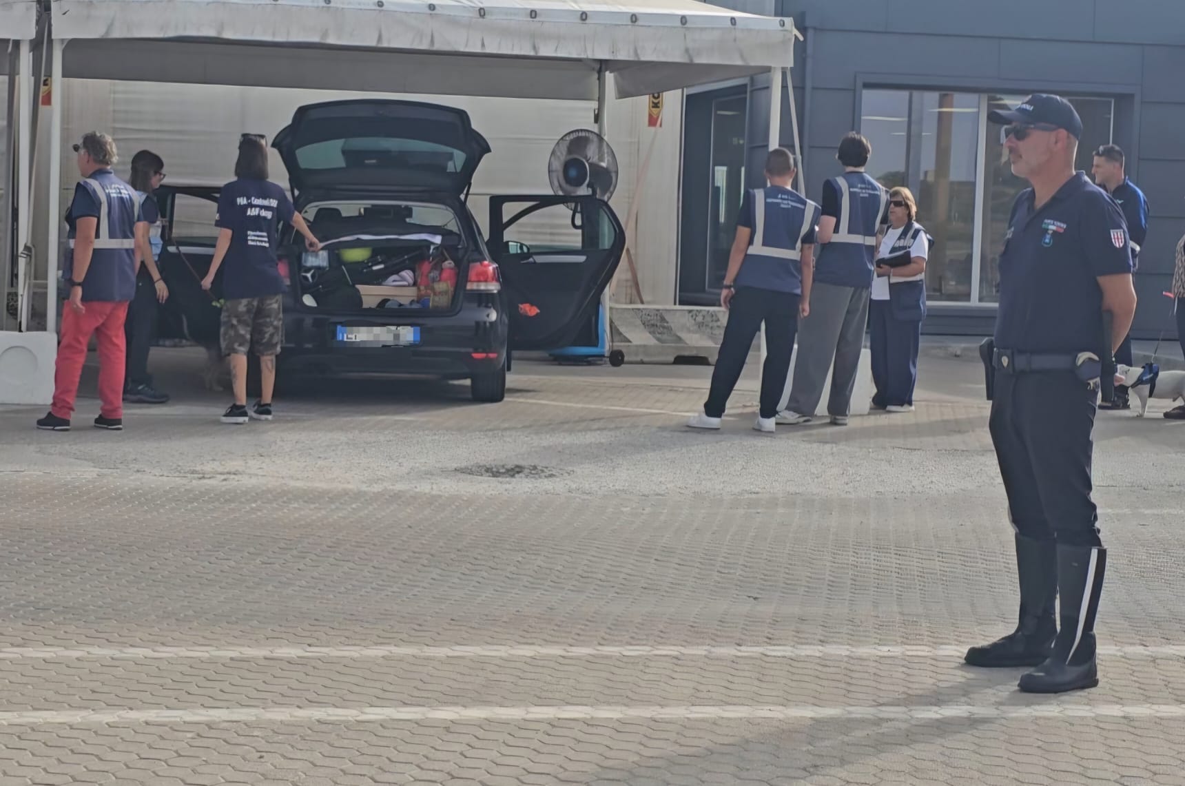 Peste suina africana: un momento dei controlli al porto